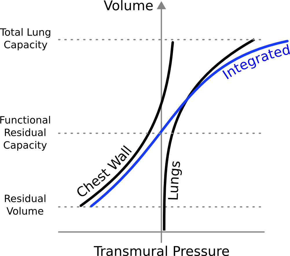 F Mechanics Of Breathing Cicm Wrecks