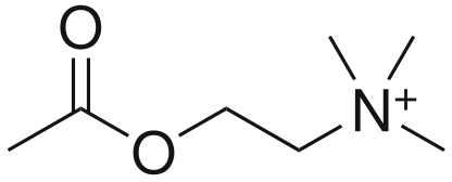 Diagram: Effector