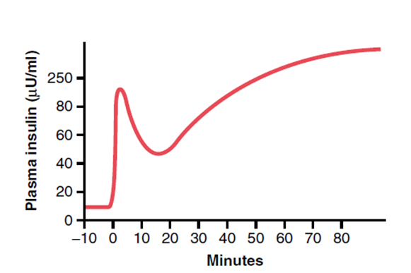 Diagram used in IV Fluids — Master Answer
