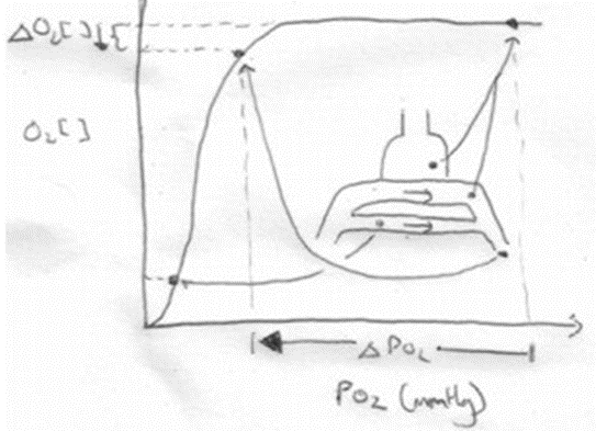 Diagram: For PaO₂: