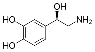 Diagram: Sympathetic Nervous System