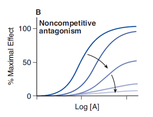 Diagram used in Suxamethonium Pharmacology — Master Answer