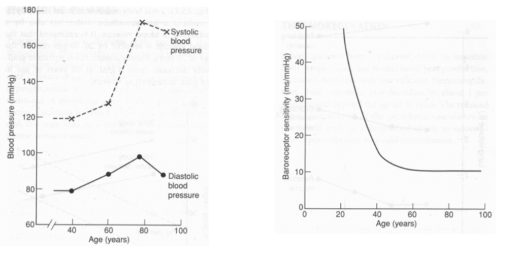 Diagram used in CVS – Responses — Master Answer