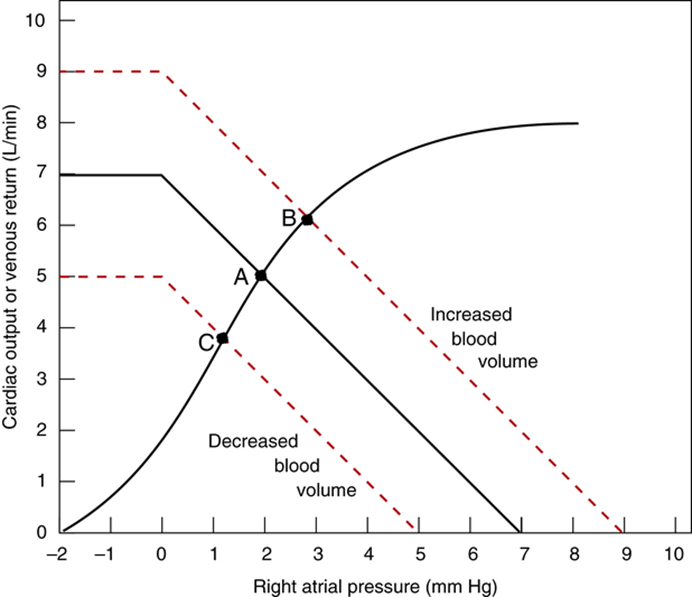 Diagram used in Cardiac Output — Master Answer