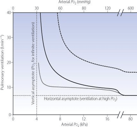 Diagram: O₂ Less important in normal ranges