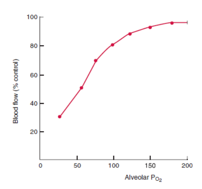 Diagram: 5. Hypoxia, Hypercapnoea, Acidosis