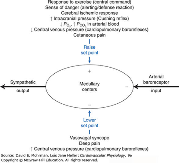 Diagram used in CVS – Responses — Master Answer