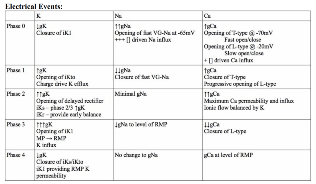 Diagram used in Cardiac Cycle — Master Answer