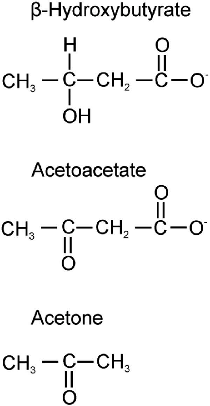 Diagram: Introduction: