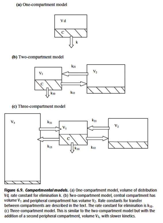 Diagram used in PK – Half-life — Master Answer