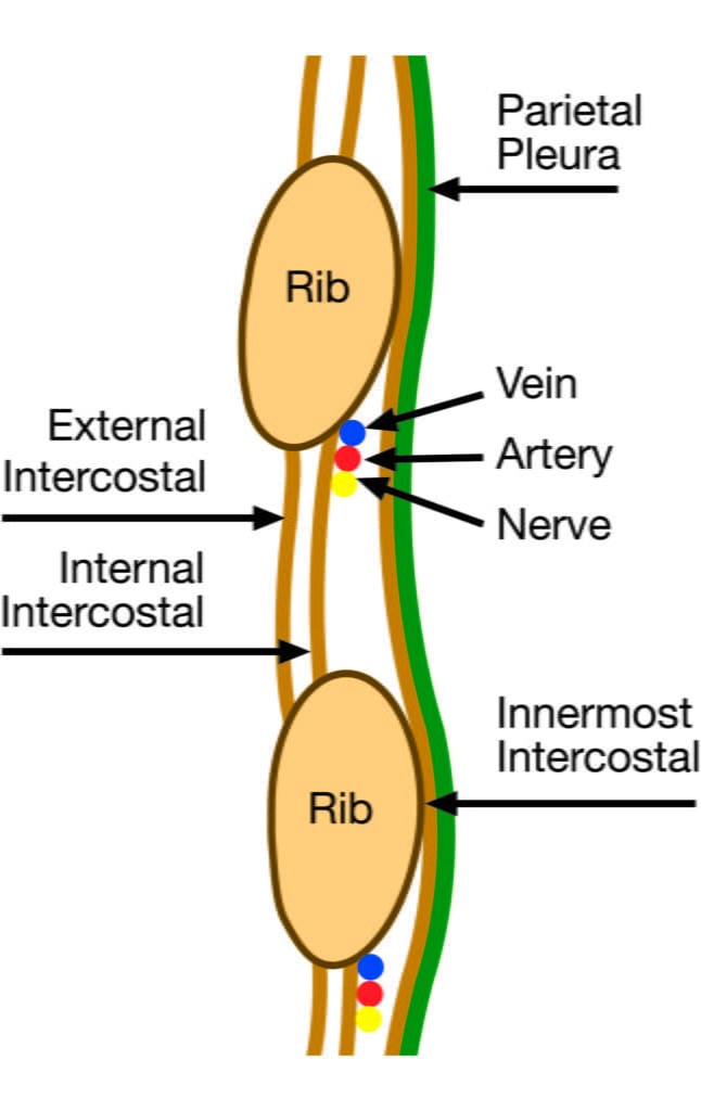 Diagram used in Procedure – ICC — Master Answer
