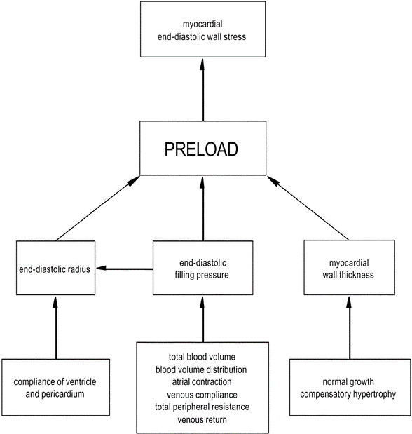 Diagram used in Cardiac Output — Master Answer